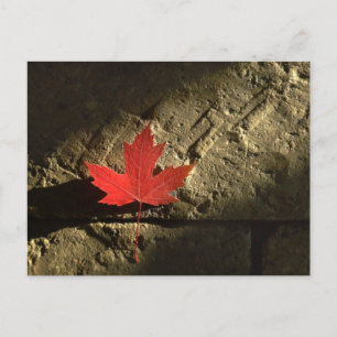Kanada Ahornleaf Postkarte