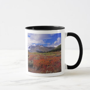 Kanada, Alberta, Banff NP. Heidelbeeren blühen Tasse
