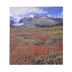 Kanada, Alberta, Banff NP. Heidelbeeren liefern Notizblock