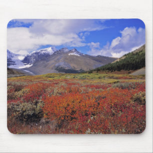 Kanada, Alberta, Banff NP. Hucklebeeren blühen Mousepad