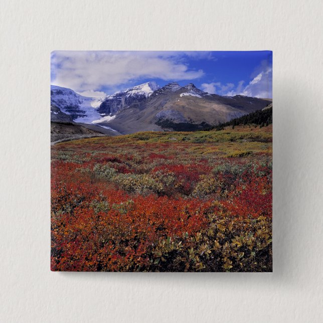 Kanada, Alberta, Banff NP. Hucklebeeren Button (Vorderseite)