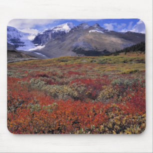 Kanada, Alberta, Banff NP. Hucklebeeren Mousepad