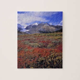 Kanada, Alberta, Banff NP. Hucklebeeren Puzzle