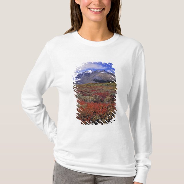 Kanada, Alberta, Banff NP. Hucklebeeren T-Shirt (Vorderseite)