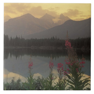 Kanada, Alberta, Banff. Sonnenaufgang landschaftli Fliese