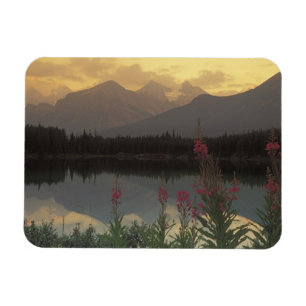 Kanada, Alberta, Banff. Sonnenaufgangsszene von Magnet