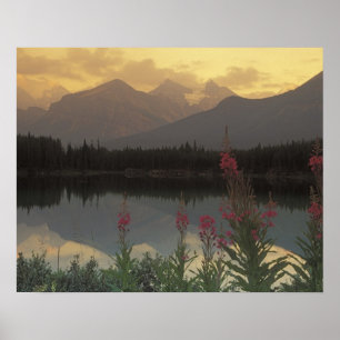 Kanada, Alberta, Banff. Sonnenaufgangsszene von Poster