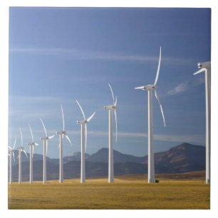 Kanada, Alberta, Crowsnest Pass Area: Cowley Fliese