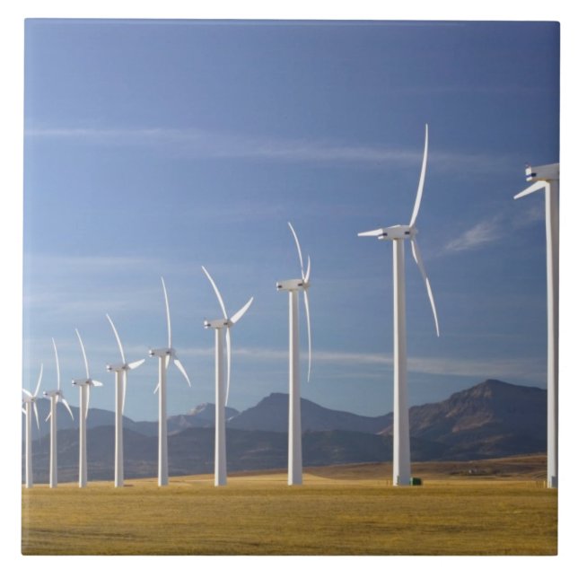 Kanada, Alberta, Crowsnest Pass Area: Cowley Fliese (Vorderseite)