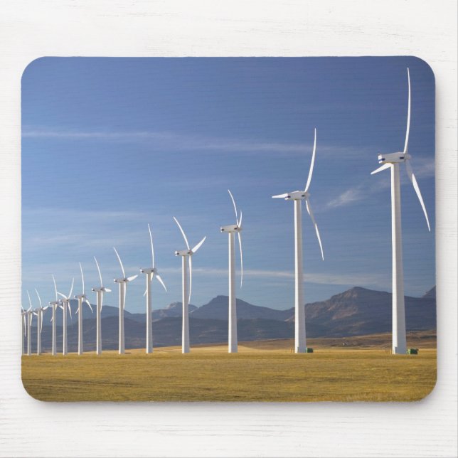 Kanada, Alberta, Crowsnest Pass Area: Cowley Mousepad (Vorne)