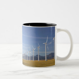 Kanada, Alberta, Gebiet Crowsnest Pass: Cowley Zweifarbige Tasse
