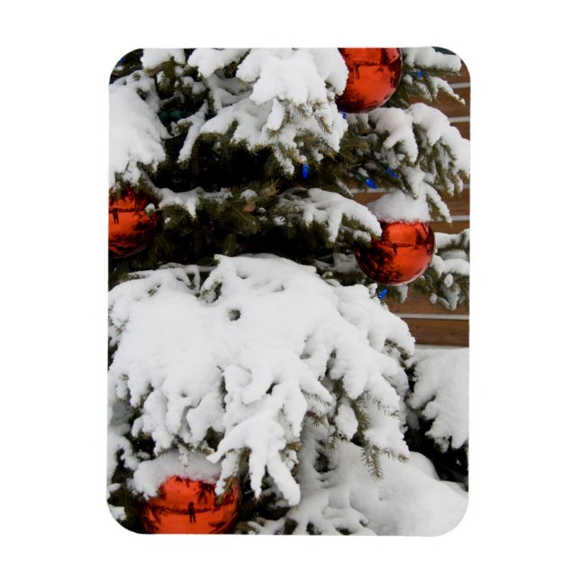 Kanada, Alberta, Jasper, Jasper NP. Fairmont Magnet (Vertikal)