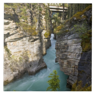 Kanada, Alberta, Jasper National Park, Athabasca 2 Fliese