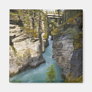 Kanada, Alberta, Jasper National Park, Athabasca 2 Magnet