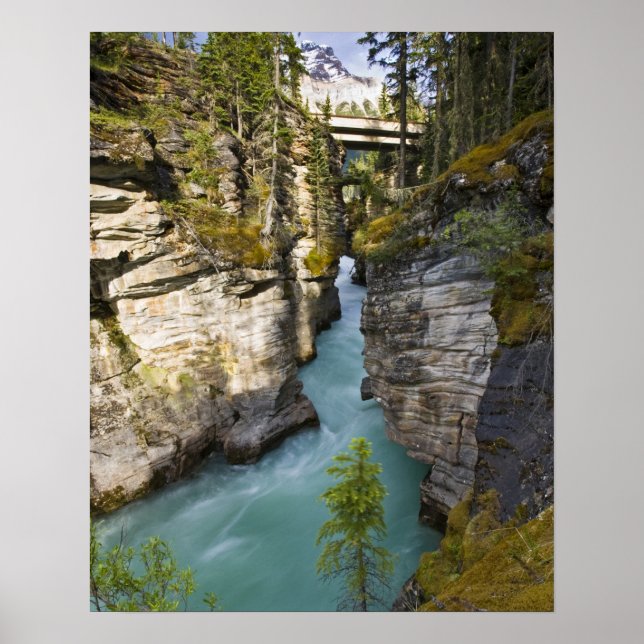 Kanada, Alberta, Jasper National Park, Athabasca 2 Poster (Vorne)