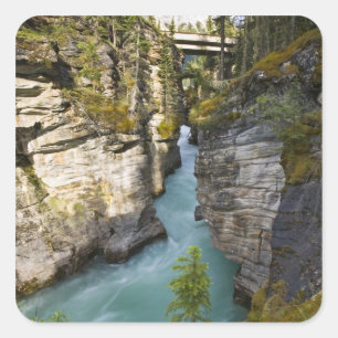 Kanada, Alberta, Jasper National Park, Athabasca 2 Quadratischer Aufkleber