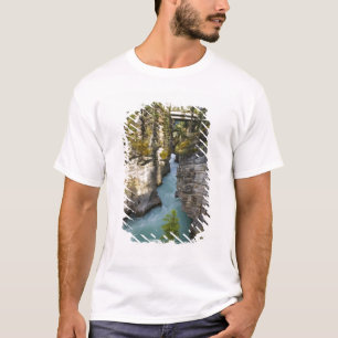 Kanada, Alberta, Jasper National Park, Athabasca 2 T-Shirt