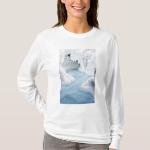 Kanada, Alberta, Jasper National Park. Die T-Shirt