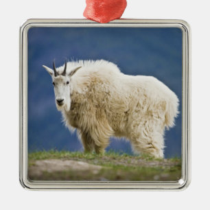 Kanada, Alberta, Jasper National Park, Ornament Aus Metall