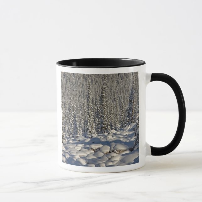 Kanada, Alberta, Jasper National Park. Tasse (Rechts)