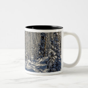 Kanada, Alberta, Jasper National Park. Zweifarbige Tasse