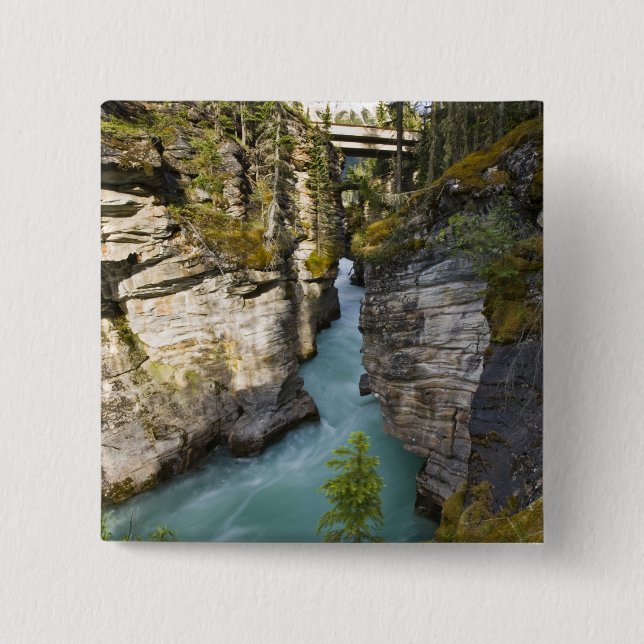 Kanada, Alberta, Jasper-Nationalpark, Athabasca 2 Button (Vorderseite)