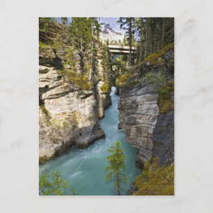 Kanada, Alberta, Jasper-Nationalpark, Athabasca 2 Postkarte