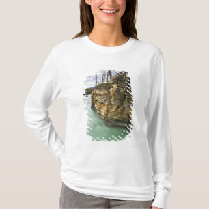Kanada, Alberta, Jasper-Nationalpark, Athabasca T-Shirt