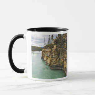 Kanada, Alberta, Jasper-Nationalpark, Athabasca Tasse