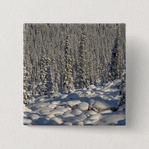 Kanada, Alberta, Jasper-Nationalpark. Button