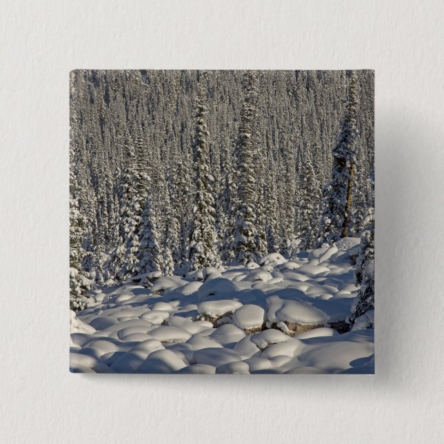 Kanada, Alberta, Jasper-Nationalpark. Button (Vorderseite)