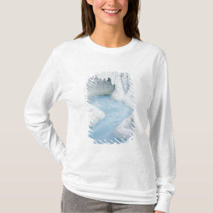 Kanada, Alberta, Jasper-Nationalpark. Die T-Shirt