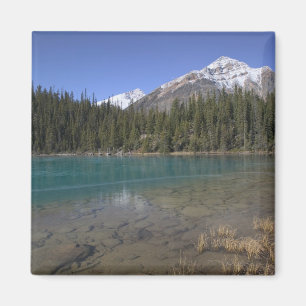 Kanada, Alberta, Jasper-Nationalpark: JASPER, Magnet