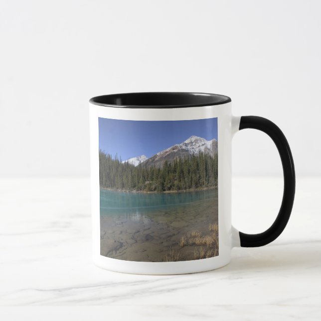 Kanada, Alberta, Jasper-Nationalpark: JASPER Tasse (Rechts)
