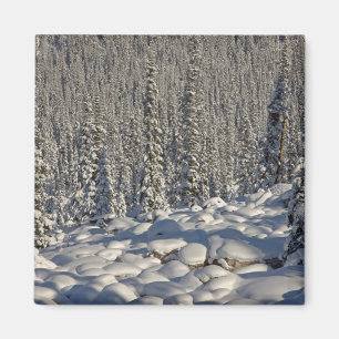 Kanada, Alberta, Jasper-Nationalpark. Magnet