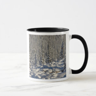 Kanada, Alberta, Jasper-Nationalpark. Tasse