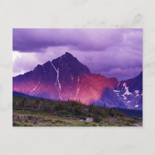 Kanada, Alberta, Kanada Postkarte
