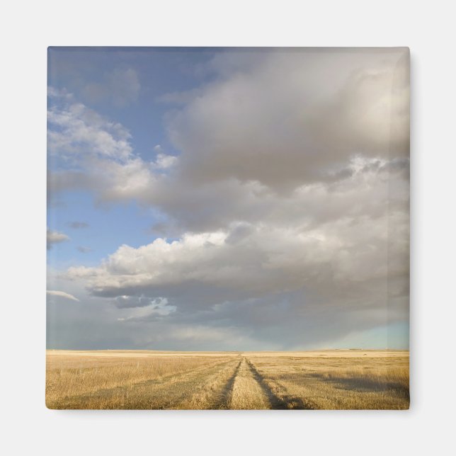 Kanada, Alberta, Stand Off: Landschaft mit Magnet (Vorne)