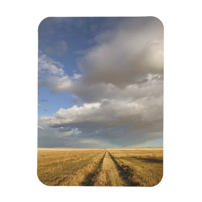 Kanada, Alberta, Stand Off: Landschaft mit Magnet (Vertikal)