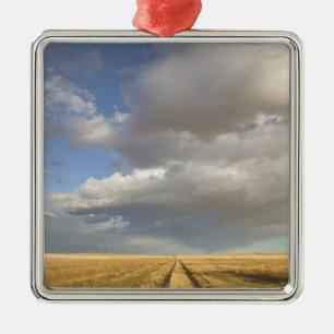 Kanada, Alberta, Stand Off: Landschaft mit Ornament Aus Metall