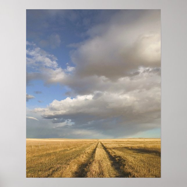 Kanada, Alberta, Stand Off: Landschaft mit Poster (Vorne)