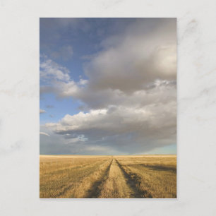 Kanada, Alberta, Stand Off: Landschaft mit Postkarte