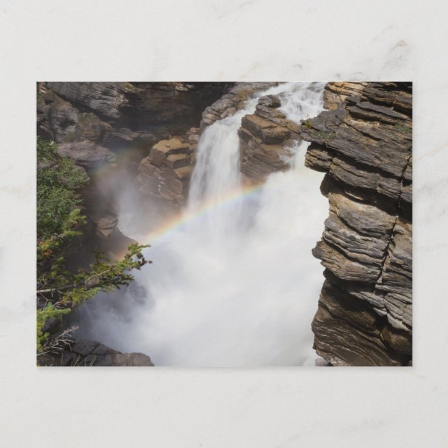 Kanada - Athabasca Falls Postkarte (Vorderseite)