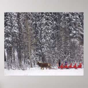 Kanada, Banff. Schlittenfahrten bei Martin Stables Poster