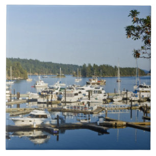 Kanada, BC, Golfinseln, Salt Spring Island, Fliese