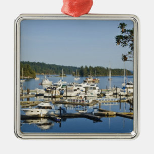 Kanada, BC, Golfregionen, Salzfrühlingsinsel, Silbernes Ornament