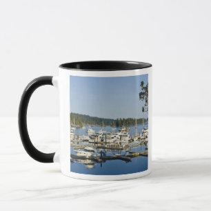 Kanada, BC, Gulf Islands, Salt Spring Island, Tasse