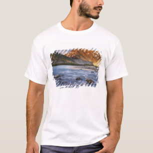 Kanada, British Columbia, Alsek River Valley. 2 T-Shirt