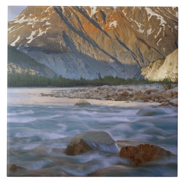 Kanada, British Columbia, Alsek River Valley. Fliese (Vorderseite)