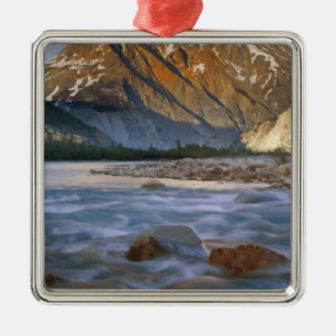 Kanada, British Columbia, Alsek River Valley. Silbernes Ornament